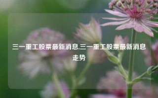 三一重工股票最新消息,三一重工股票最新消息走势