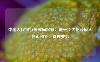 中国人民银行研究局纪敏：进一步优化跨境人民币和外汇管理业务