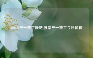 600031三一重工股吧,股票三一重工今日价位