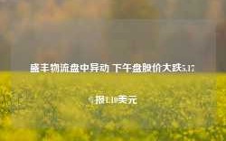 盛丰物流盘中异动 下午盘股价大跌5.17%报1.10美元