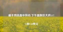 盛丰物流盘中异动 下午盘股价大跌5.17%报1.10美元