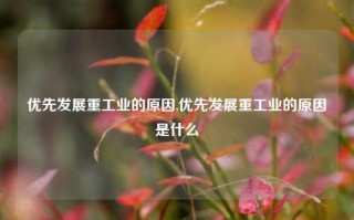 优先发展重工业的原因,优先发展重工业的原因是什么