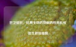 世卫组织：抗微生物药物耐药性危机或促生超级细菌