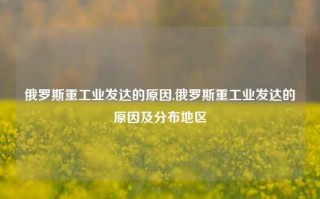 俄罗斯重工业发达的原因,俄罗斯重工业发达的原因及分布地区