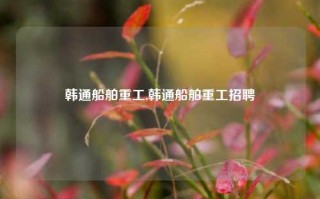 韩通船舶重工,韩通船舶重工招聘