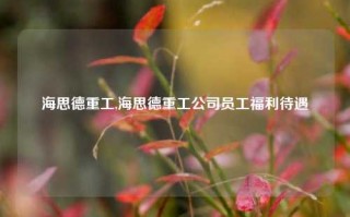 海思德重工,海思德重工公司员工福利待遇