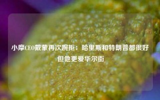 小摩CEO戴蒙再次婉拒：哈里斯和特朗普都很好 但他更爱华尔街