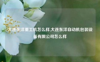 大连东洋重工机怎么样,大连东洋自动机包装设备有限公司怎么样