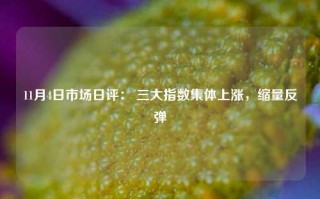 11月4日市场日评： 三大指数集体上涨，缩量反弹