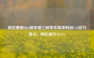 阿吉赛斯2024财年第三财季实现净利润1.36百万美元，同比减少70.11%