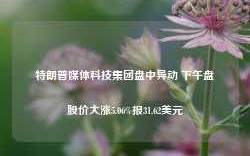 特朗普媒体科技集团盘中异动 下午盘股价大涨5.06%报31.62美元