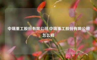 中瑞重工股份有限公司,中瑞重工股份有限公司怎么样