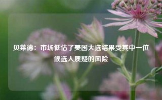 贝莱德：市场低估了美国大选结果受其中一位候选人质疑的风险