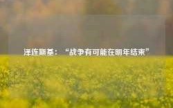 泽连斯基：“战争有可能在明年结束”