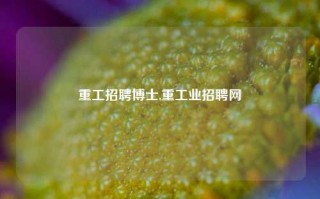 重工招聘博士,重工业招聘网