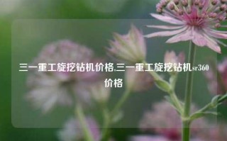 三一重工旋挖钻机价格,三一重工旋挖钻机sr360价格