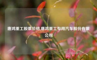 唐鸿重工股票价格,唐鸿重工专用汽车股份有限公司