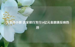 为支持小微 这家银行发行50亿元金融债反响热烈