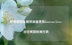 特朗普团队据悉准备宣布Jamieson Greer出任美国贸易代表