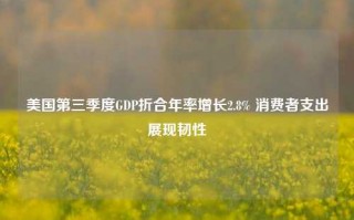 美国第三季度GDP折合年率增长2.8% 消费者支出展现韧性