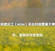 同德化工（002306）未及时披露重大事件，面临投资者索赔