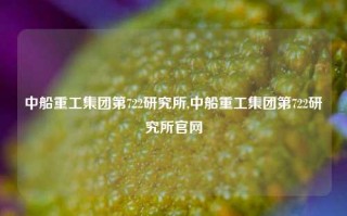 中船重工集团第722研究所,中船重工集团第722研究所官网