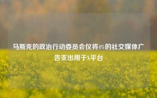 马斯克的政治行动委员会仅将4%的社交媒体广告支出用于X平台