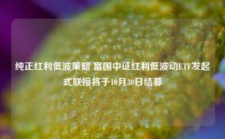 纯正红利低波策略 富国中证红利低波动ETF发起式联接将于10月30日结募