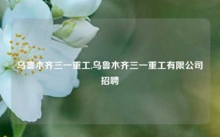 乌鲁木齐三一重工,乌鲁木齐三一重工有限公司招聘