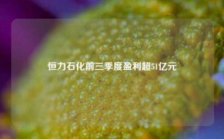 恒力石化前三季度盈利超51亿元