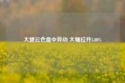 大健云仓盘中异动 大幅拉升5.08%