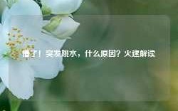 懵了！突发跳水，什么原因？火速解读