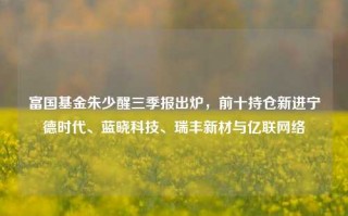 富国基金朱少醒三季报出炉，前十持仓新进宁德时代、蓝晓科技、瑞丰新材与亿联网络