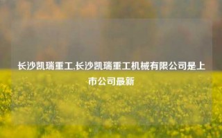 长沙凯瑞重工,长沙凯瑞重工机械有限公司是上市公司最新