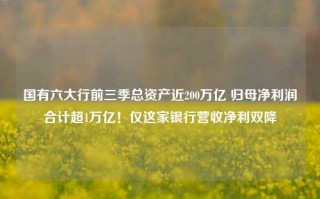 国有六大行前三季总资产近200万亿 归母净利润合计超1万亿！仅这家银行营收净利双降