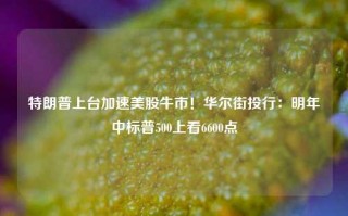 特朗普上台加速美股牛市！华尔街投行：明年中标普500上看6600点