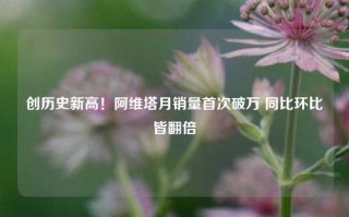 创历史新高！阿维塔月销量首次破万 同比环比皆翻倍