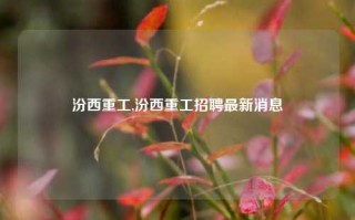 汾西重工,汾西重工招聘最新消息