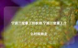 宁波三星重工辞职潮,宁波三星重工什么时候搬走