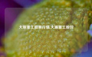 大原重工股票行情,大源重工股份