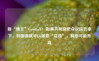 新“债王”Gundlach：如果共和党把众议院也拿下，特朗普就可以随意“花钱”，利率可能升高