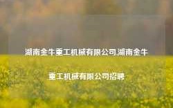 湖南金牛重工机械有限公司,湖南金牛重工机械有限公司招聘