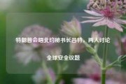 特朗普会晤北约秘书长吕特，两人讨论全球安全议题