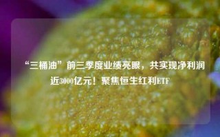 “三桶油”前三季度业绩亮眼，共实现净利润近3000亿元！聚焦恒生红利ETF