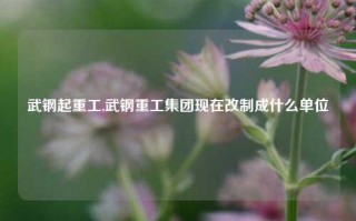 武钢起重工,武钢重工集团现在改制成什么单位