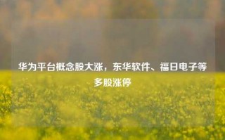 华为平台概念股大涨，东华软件、福日电子等多股涨停