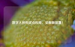 数字人民币试点应用，又有新部署！