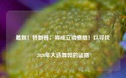 最新！特朗普，将成立调查组！以寻找2020年大选舞弊的证据