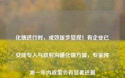 化债进行时，成效逐步显现！有企业已安排专人与政府沟通化债方案，专家预测一年内政策会有显著进展