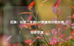 花旗：印度二季度GDP数据预计将反映经济放缓